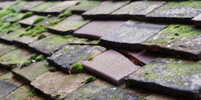 Kempston roof repair costs